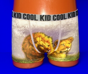 Детские трусы  для мальчиков COOL KID арт. 71-62