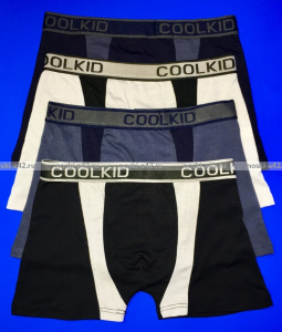 Детские трусы-боксеры для мальчиков COOL KID арт. 6904 (6903)
