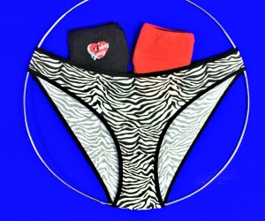 Трусы женские DOMINANT Турция "Неделька - 3 шт." арт. 35000-352