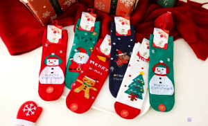 Ecosocks носки женские НОВОГОДНИЕ хлопок + кашемир арт. 2755