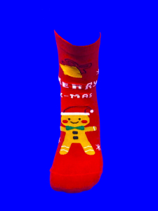 Ecosocks носки женские НОВОГОДНИЕ хлопок + кашемир арт. 2755