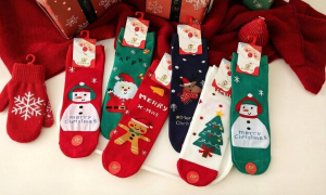 Ecosocks носки женские НОВОГОДНИЕ хлопок + кашемир арт. 2755